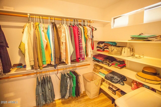 spacious closet with light wood-type flooring