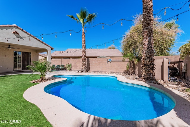 view of pool featuring a lawn, a patio, and ceiling fan