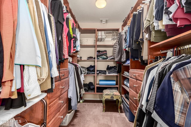 spacious closet with carpet