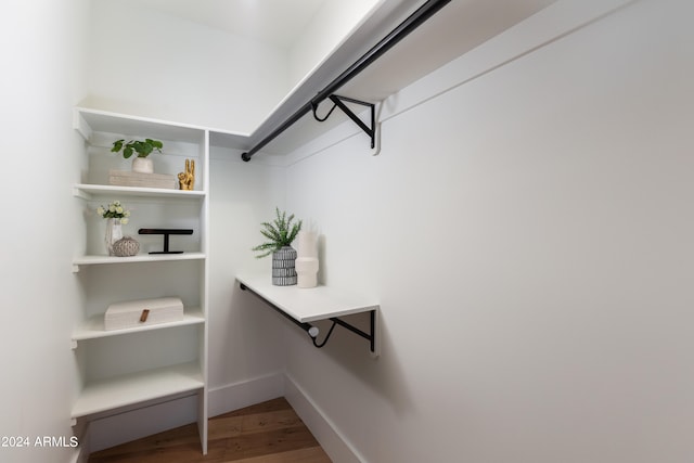 spacious closet with wood-type flooring