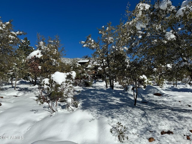 view of yard covered in snow