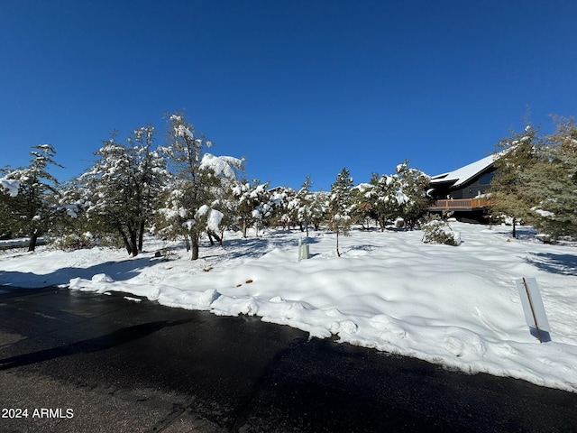 view of snowy yard