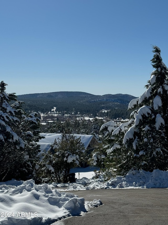 view of mountain feature