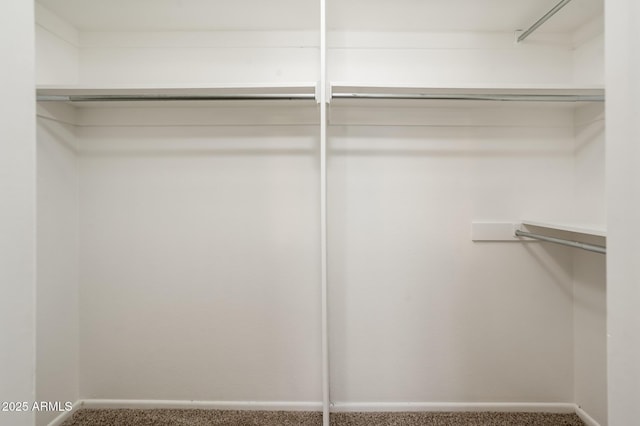 3324 S Parkside Dr, Tempe, AZ 85282 - walk in closet with carpet floors