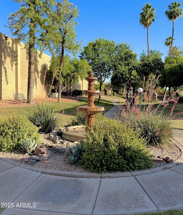3825 E Camelback Rd Unit 152, Phoenix, AZ 85018 - view of community