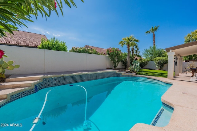 view of swimming pool with a patio