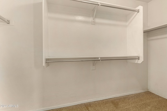 walk in closet with carpet flooring