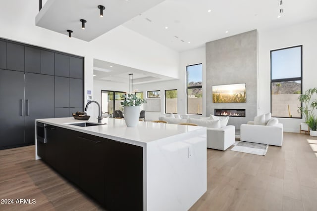 kitchen featuring a fireplace, sink, a spacious island, and light hardwood / wood-style floors