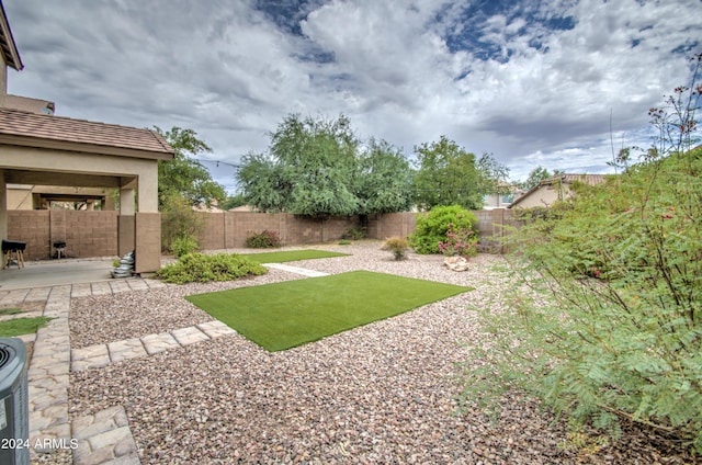 view of yard featuring a patio