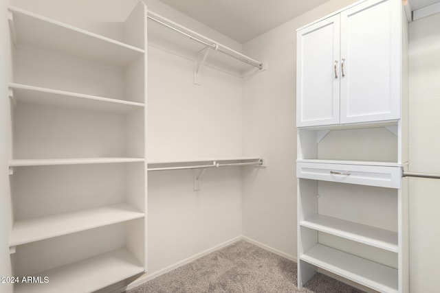 spacious closet featuring light carpet