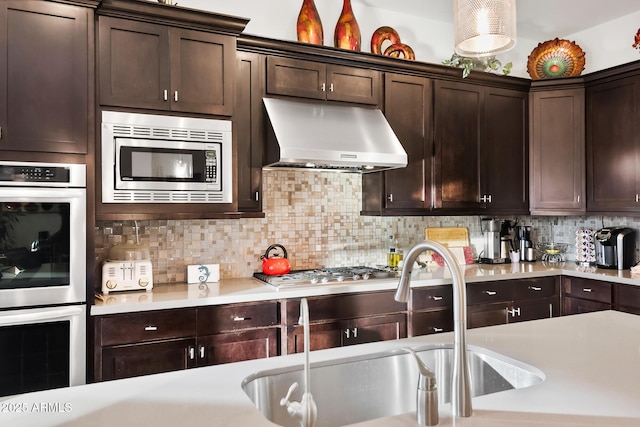 kitchen featuring decorative backsplash, sink, ventilation hood, dark brown cabinetry, and stainless steel appliances