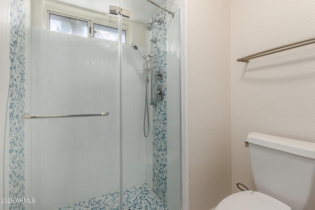 643 W Medina Ave, Mesa, AZ 85210 - full bath featuring a shower stall and toilet