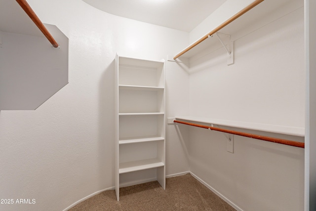 2421 W Indigo Dr, Chandler, AZ 85248 - spacious closet featuring carpet flooring