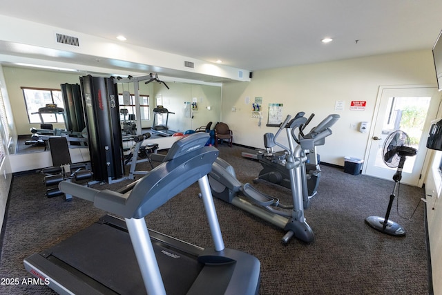 workout area with a wealth of natural light