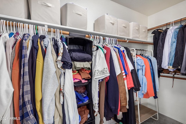 spacious closet featuring carpet flooring