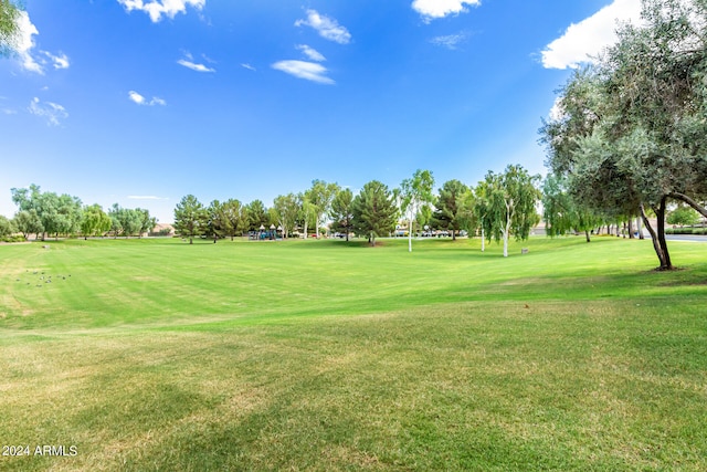 view of property's community with a yard