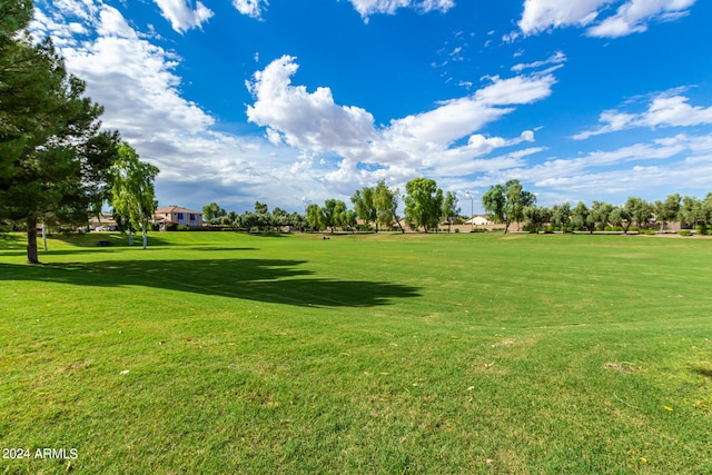 view of community featuring a lawn