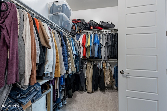 walk in closet with carpet