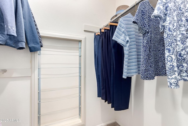 view of spacious closet