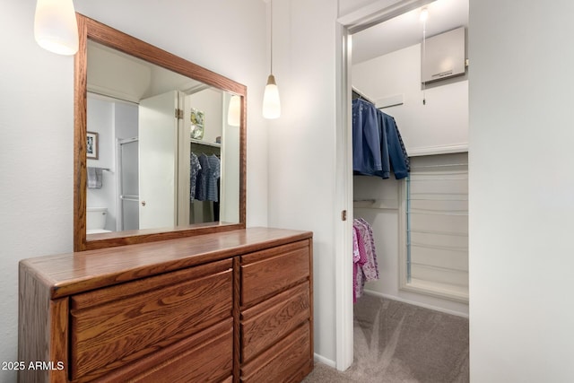 full bathroom featuring a shower and a walk in closet