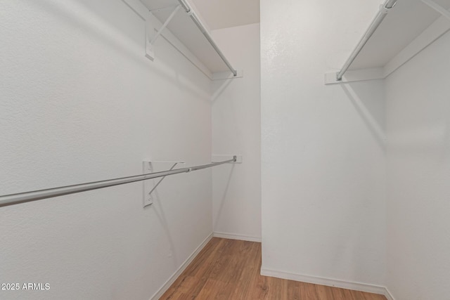 walk in closet with light wood-type flooring