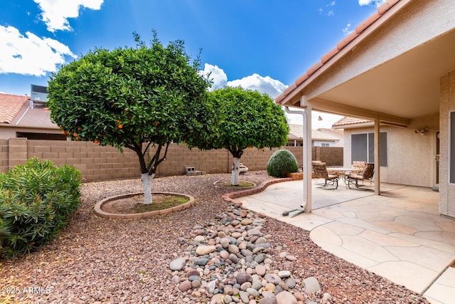 view of yard with a fenced backyard and a patio