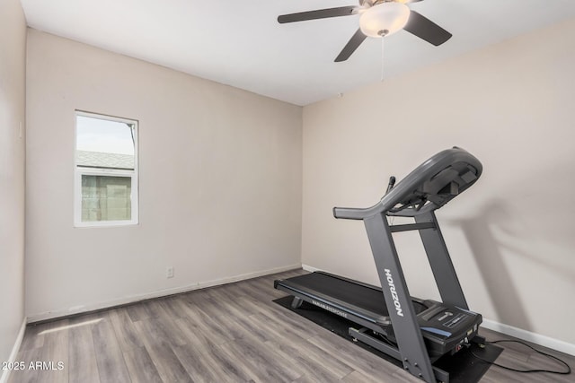 2929 E Broadway Rd Unit 30, Mesa, AZ 85204 - workout room with wood finished floors, baseboards, and a ceiling fan