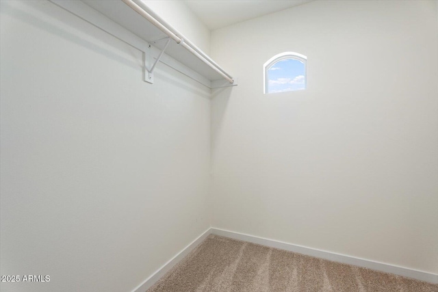 5420 W Grove St, Laveen, AZ 85339 - spacious closet with light colored carpet