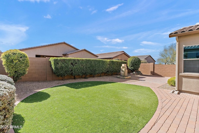 view of yard featuring a patio