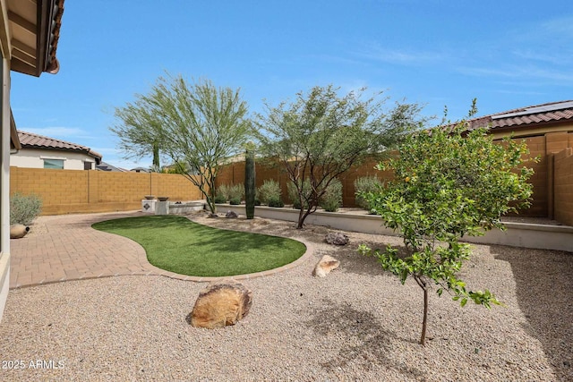 view of yard with a fenced backyard and a patio
