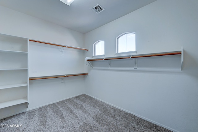 spacious closet featuring carpet flooring