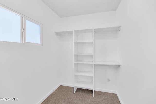 spacious closet with carpet flooring