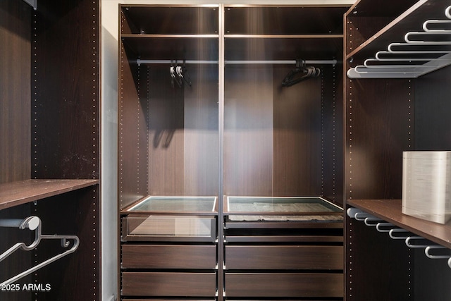 view of walk in closet