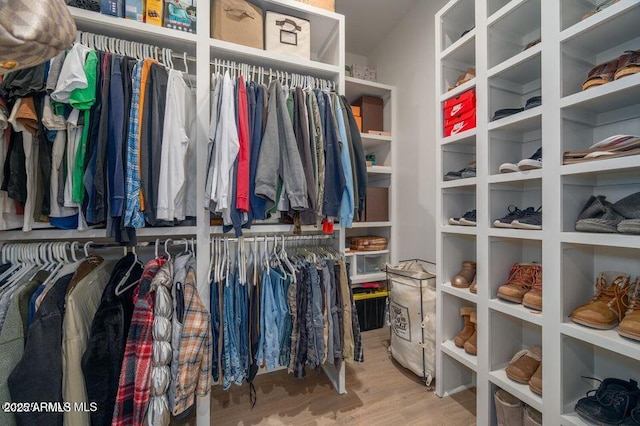 spacious closet featuring wood finished floors