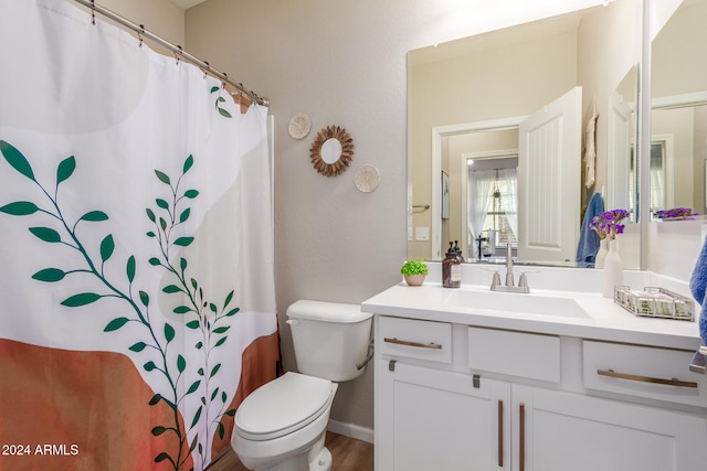 bathroom featuring vanity, toilet, and wood-type flooring