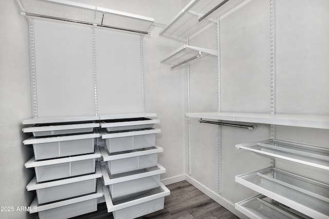 spacious closet with dark wood-style floors