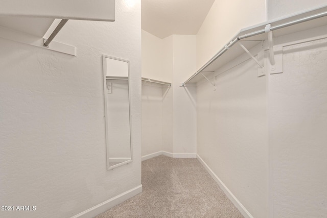 walk in closet featuring carpet flooring