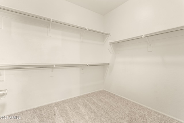 walk in closet with carpet