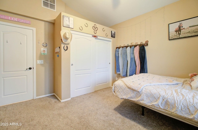 708 E Dry Creek Rd, San Tan Valley, AZ 85143 - carpeted bedroom with lofted ceiling and a closet