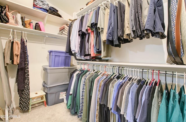 708 E Dry Creek Rd, San Tan Valley, AZ 85143 - walk in closet featuring carpet flooring