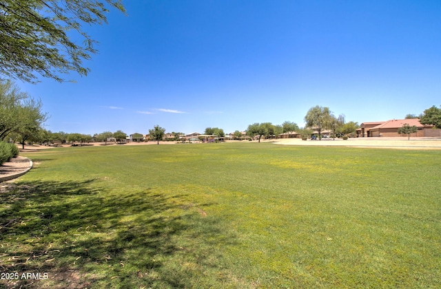 708 E Dry Creek Rd, San Tan Valley, AZ 85143 - view of green lawn