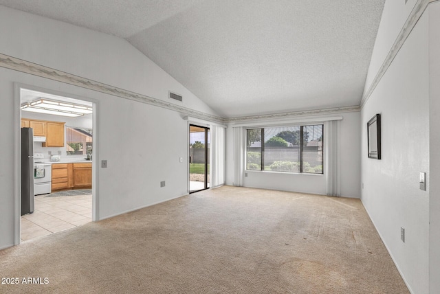 unfurnished room featuring a textured ceiling, light colored carpet, vaulted ceiling, visible vents, and a sink