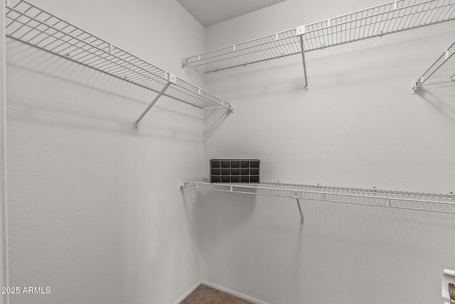 view of walk in closet