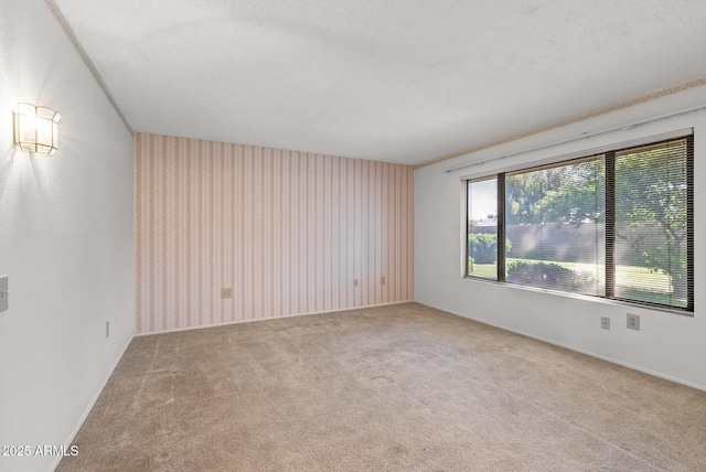 unfurnished room with carpet