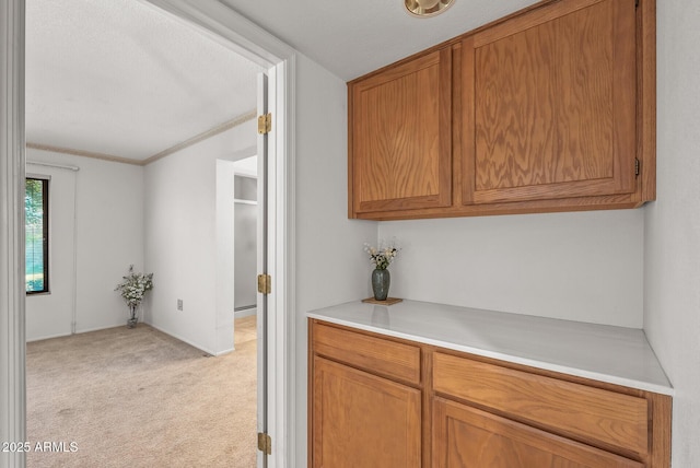 interior space featuring light carpet, crown molding, and baseboards