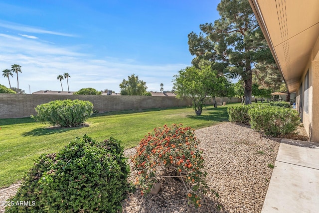 view of yard featuring a fenced backyard