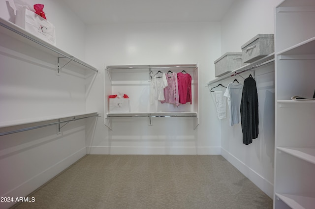 spacious closet with carpet flooring