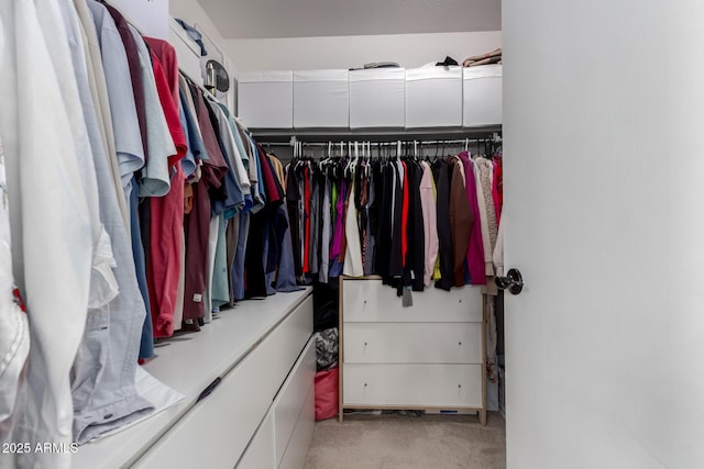 walk in closet featuring light colored carpet