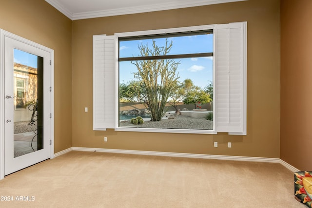 empty room featuring light carpet, ornamental molding, and a healthy amount of sunlight