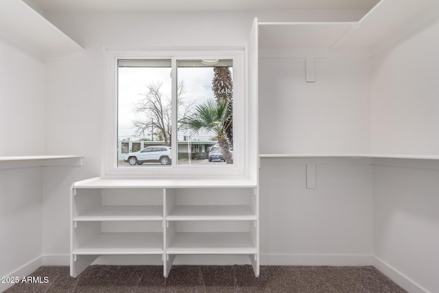 spacious closet featuring carpet floors